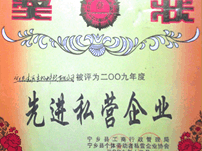 先進(jìn)私營(yíng)企業(yè)